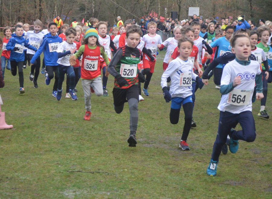 Cross competitie in Bussum