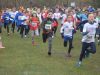 Cross competitie in Bussum